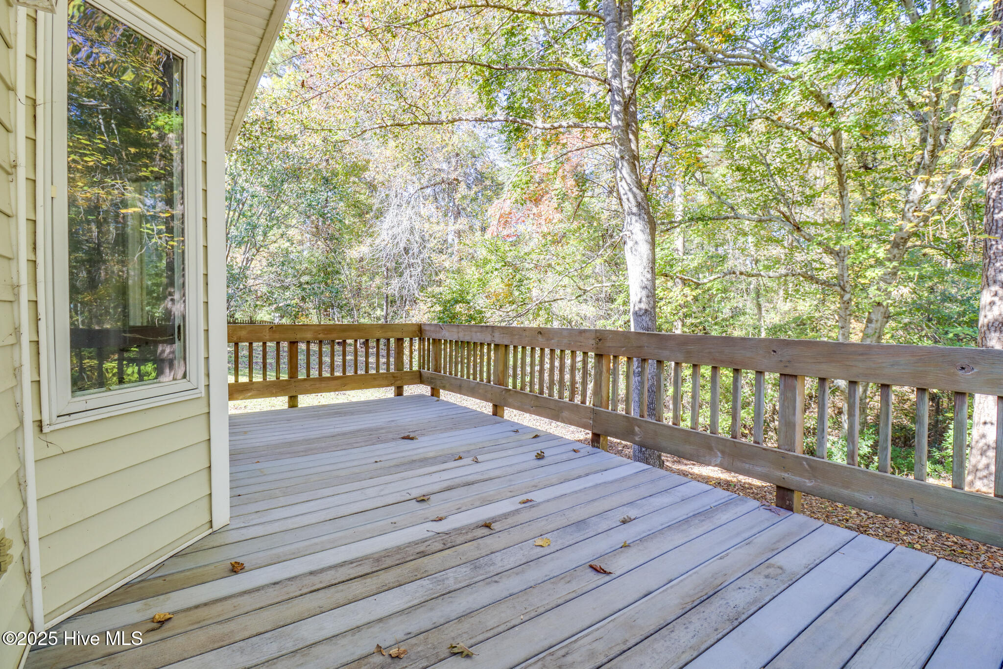 100541219 | Photo 21