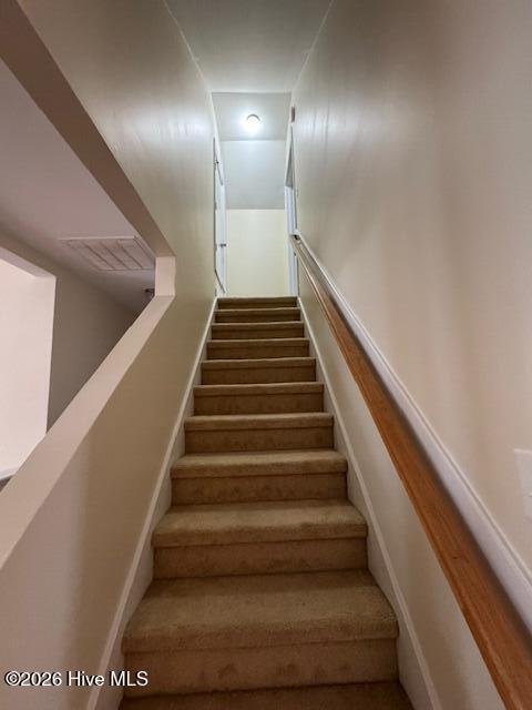 100538231 | Photo 14