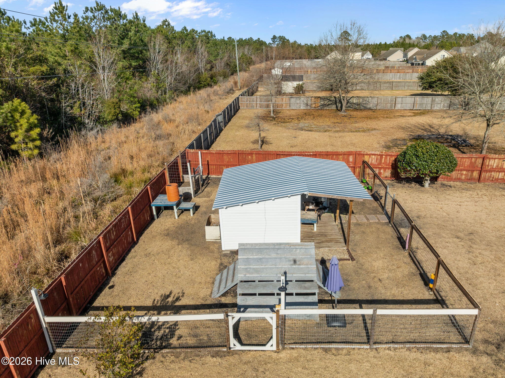 100547536 | Photo 39