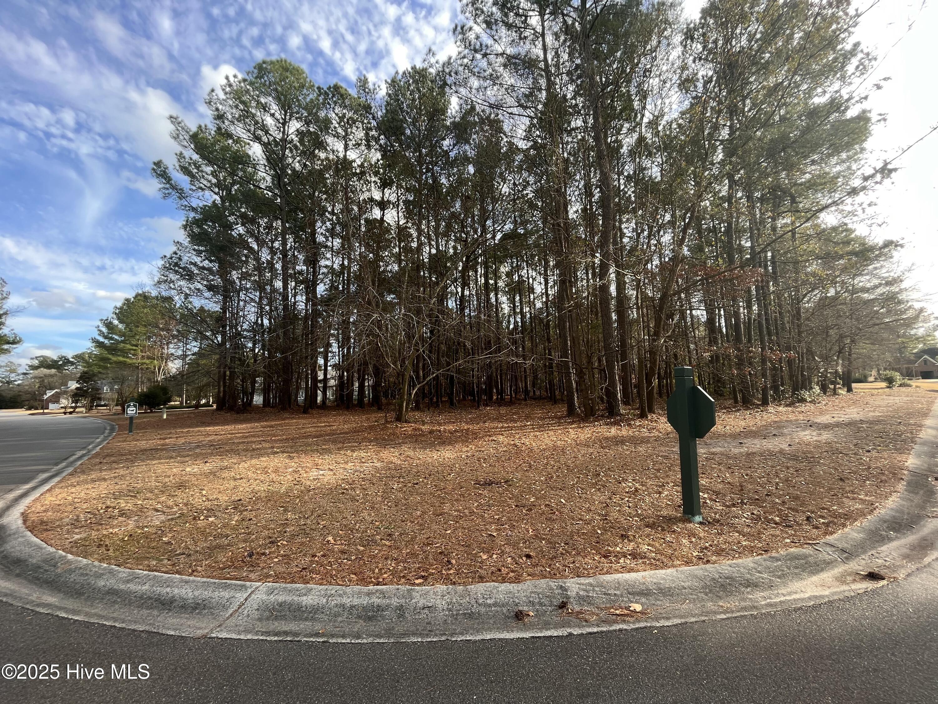 264 Red Fox Run Drive, Wallace, NC, 28466