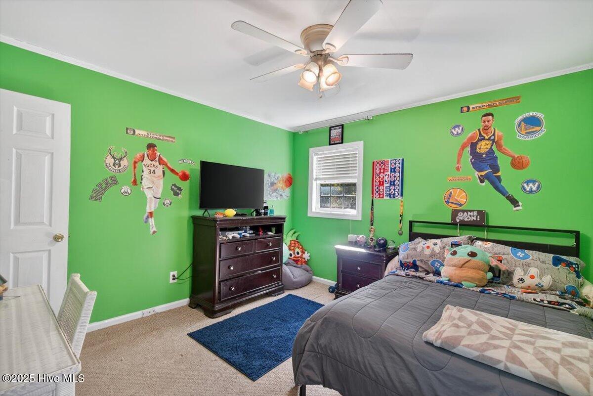 100539192 | Photo 21