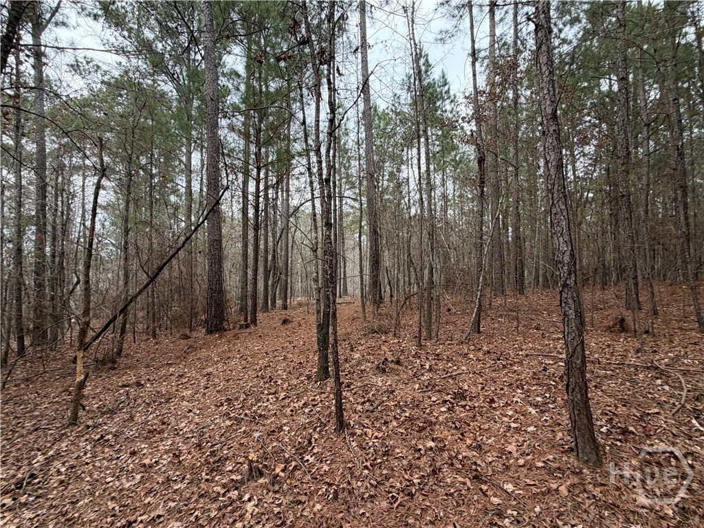 Homes for sale in Greensboro, GA | 1700 Northwoods Dr, Greensboro, GA 30642 | MLS# CL350245