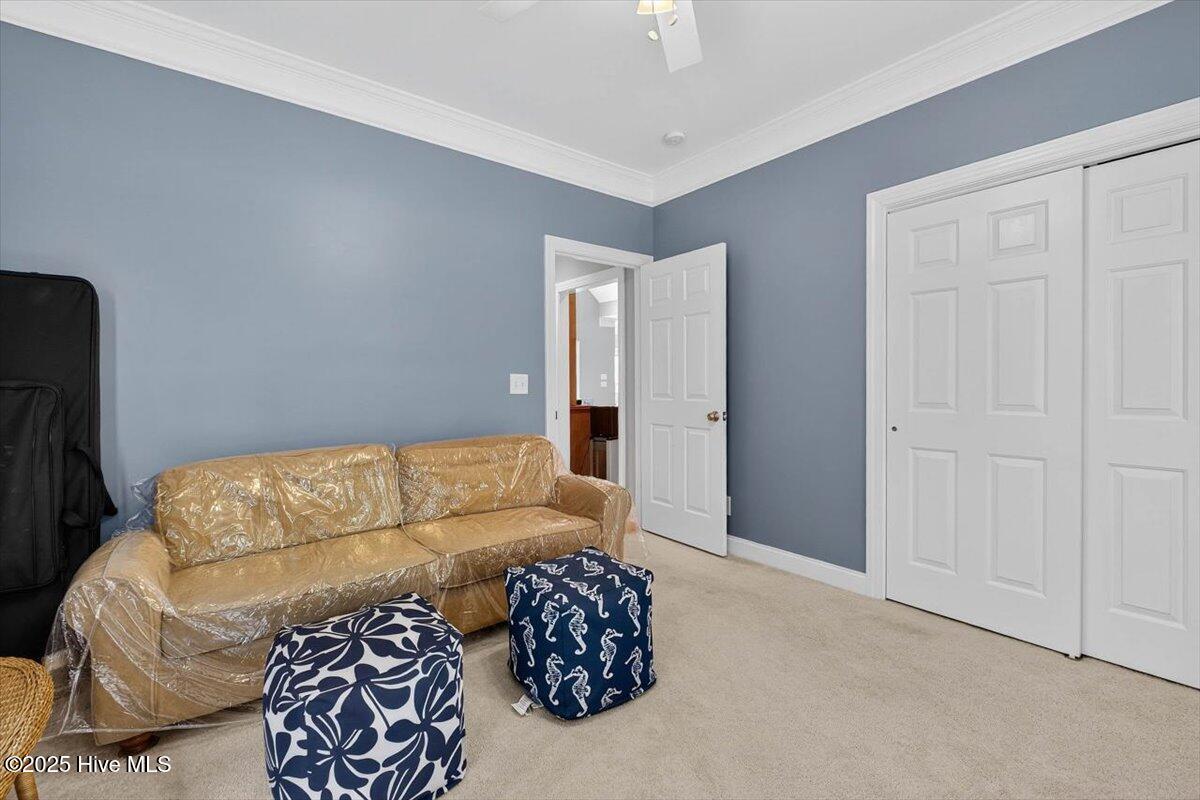 100530504 | Photo 33