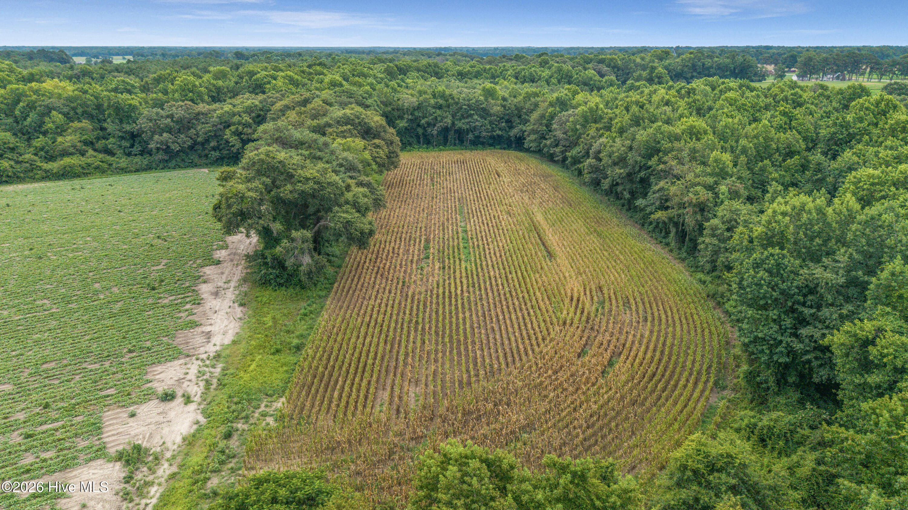 40th image of Tbd Nc 403, Mount Olive, NC 28365 | MLS# 100597132