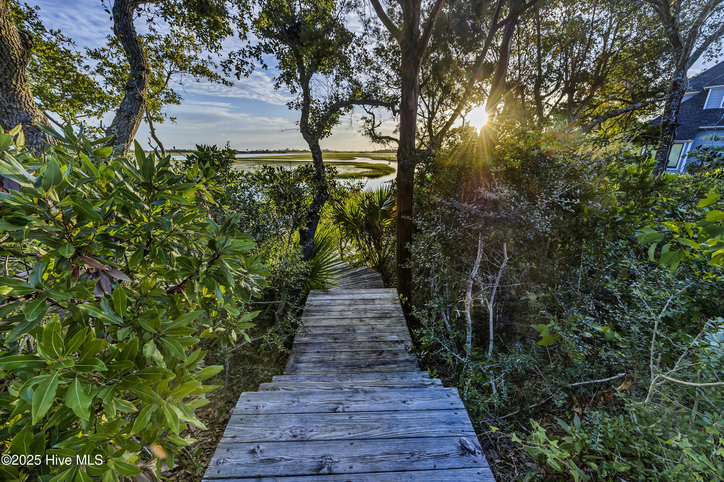 100534977 | Photo 49