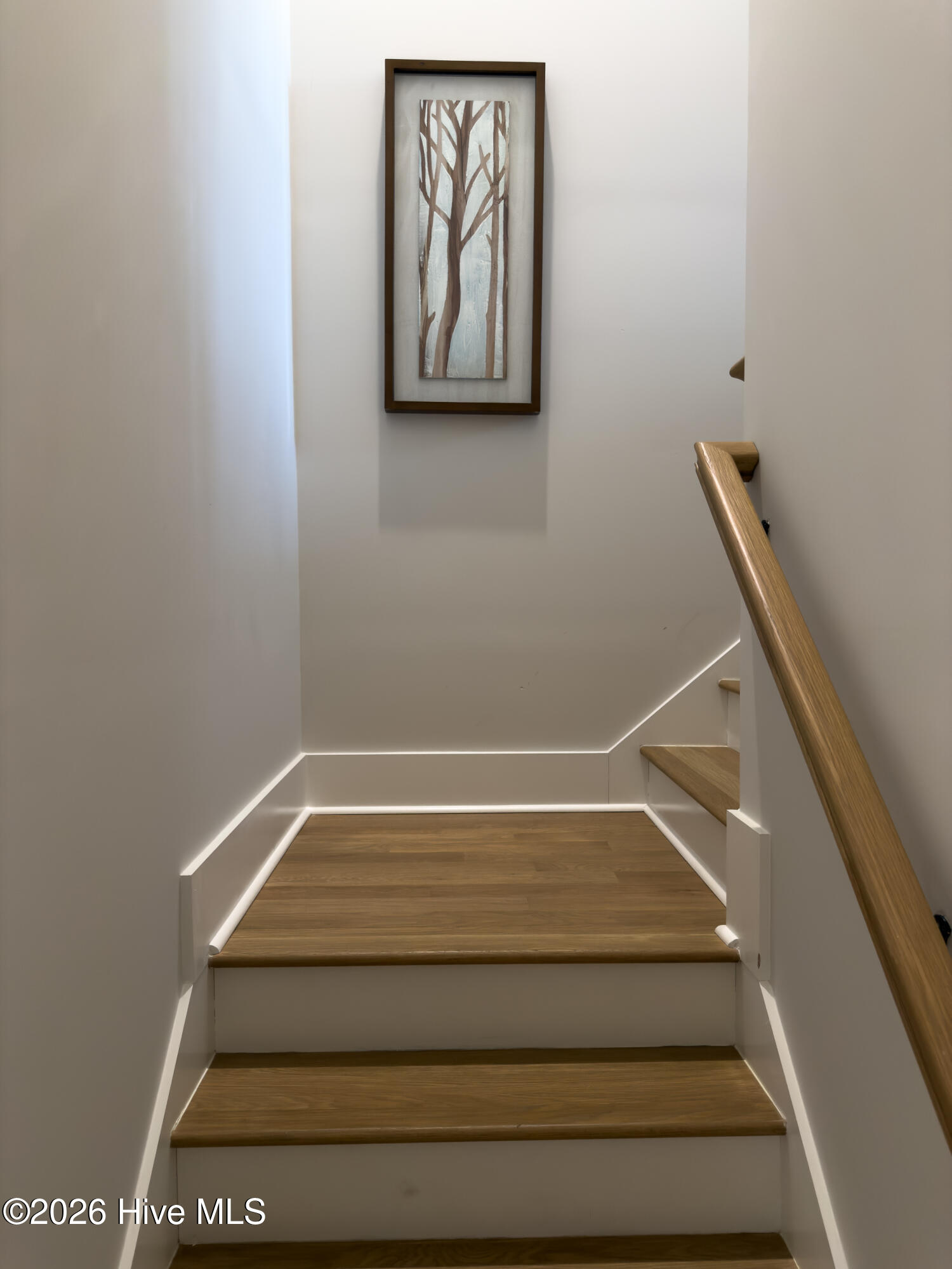 100562941 | Photo 47