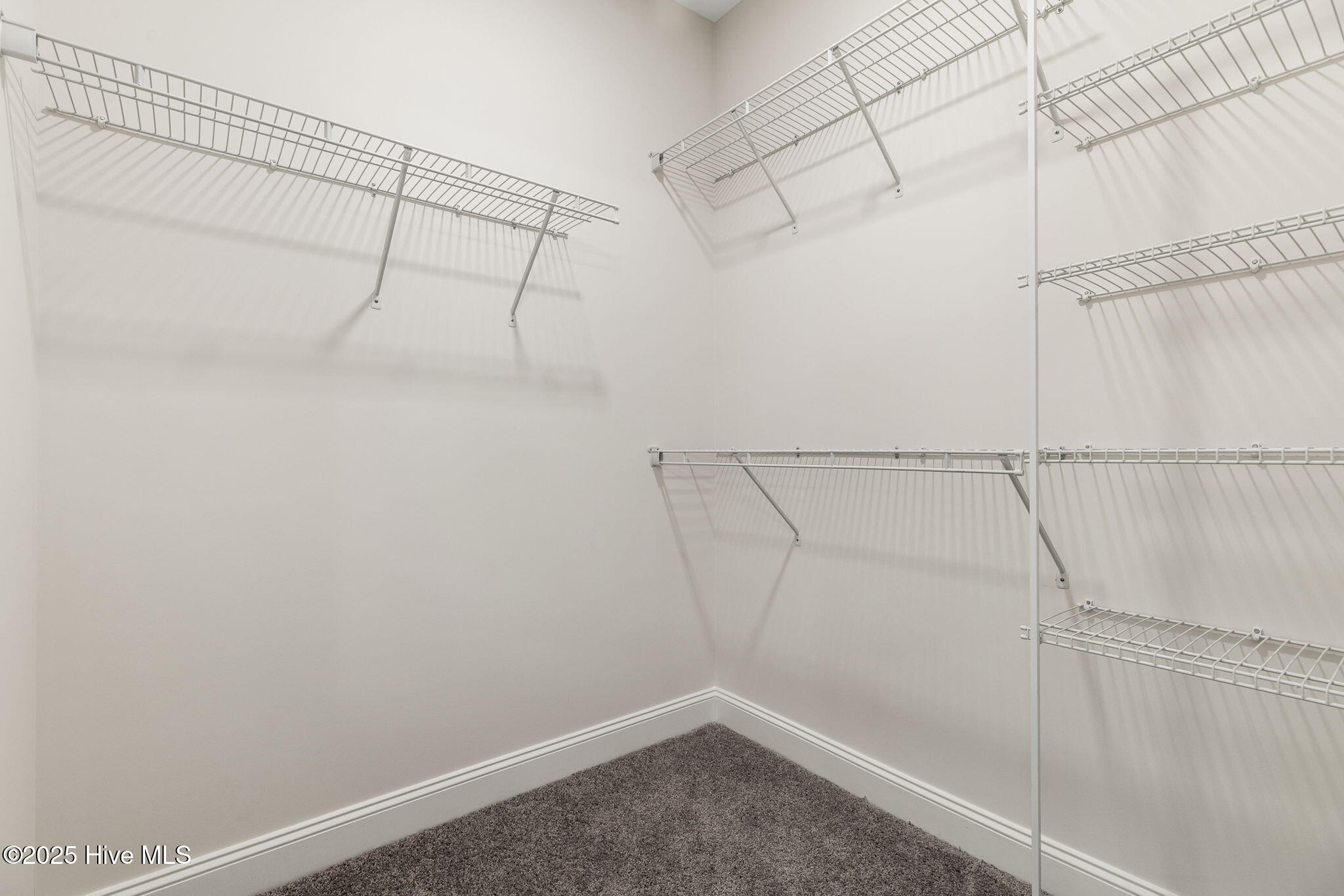 100513726 | Photo 36