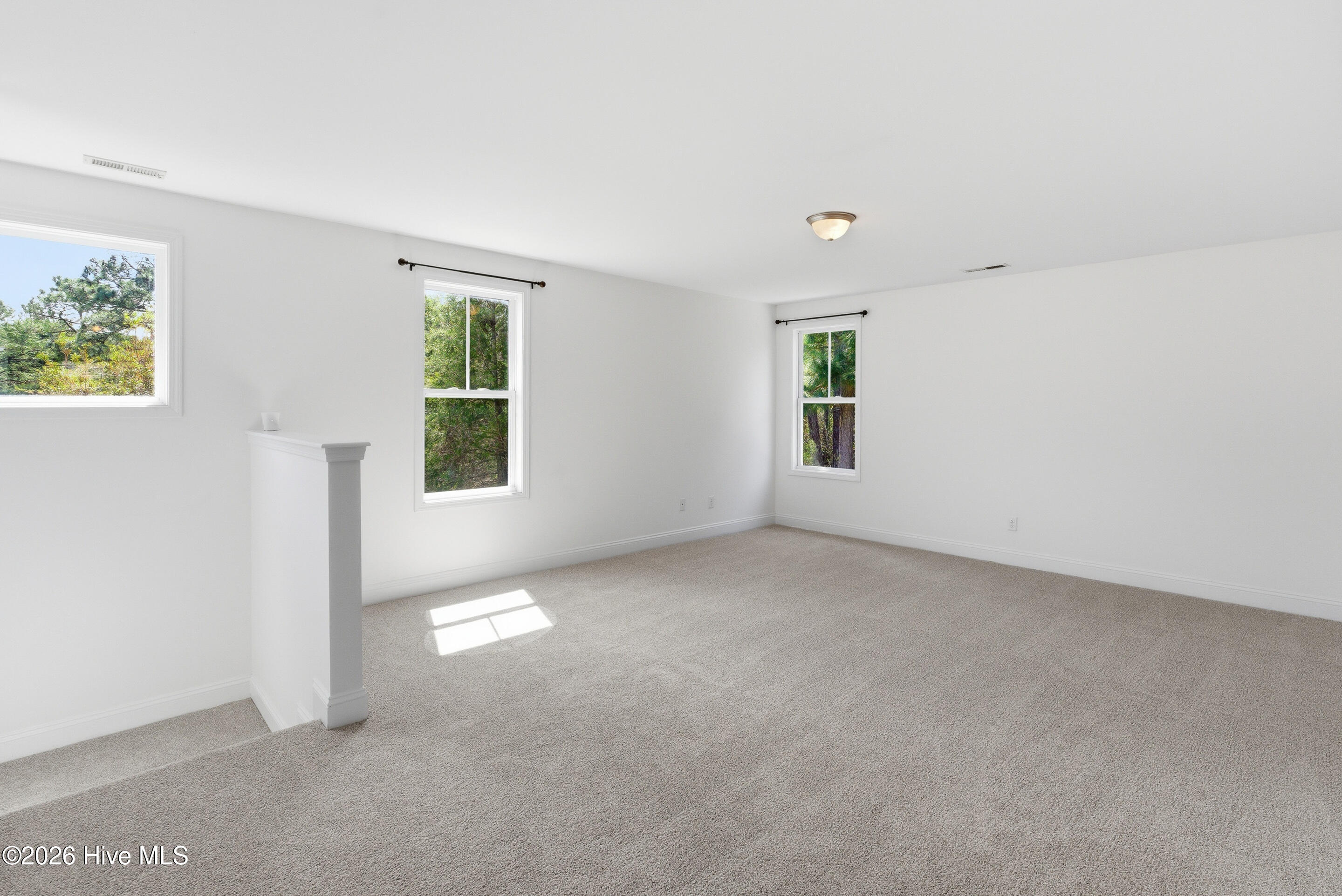 100563576 | Photo 24