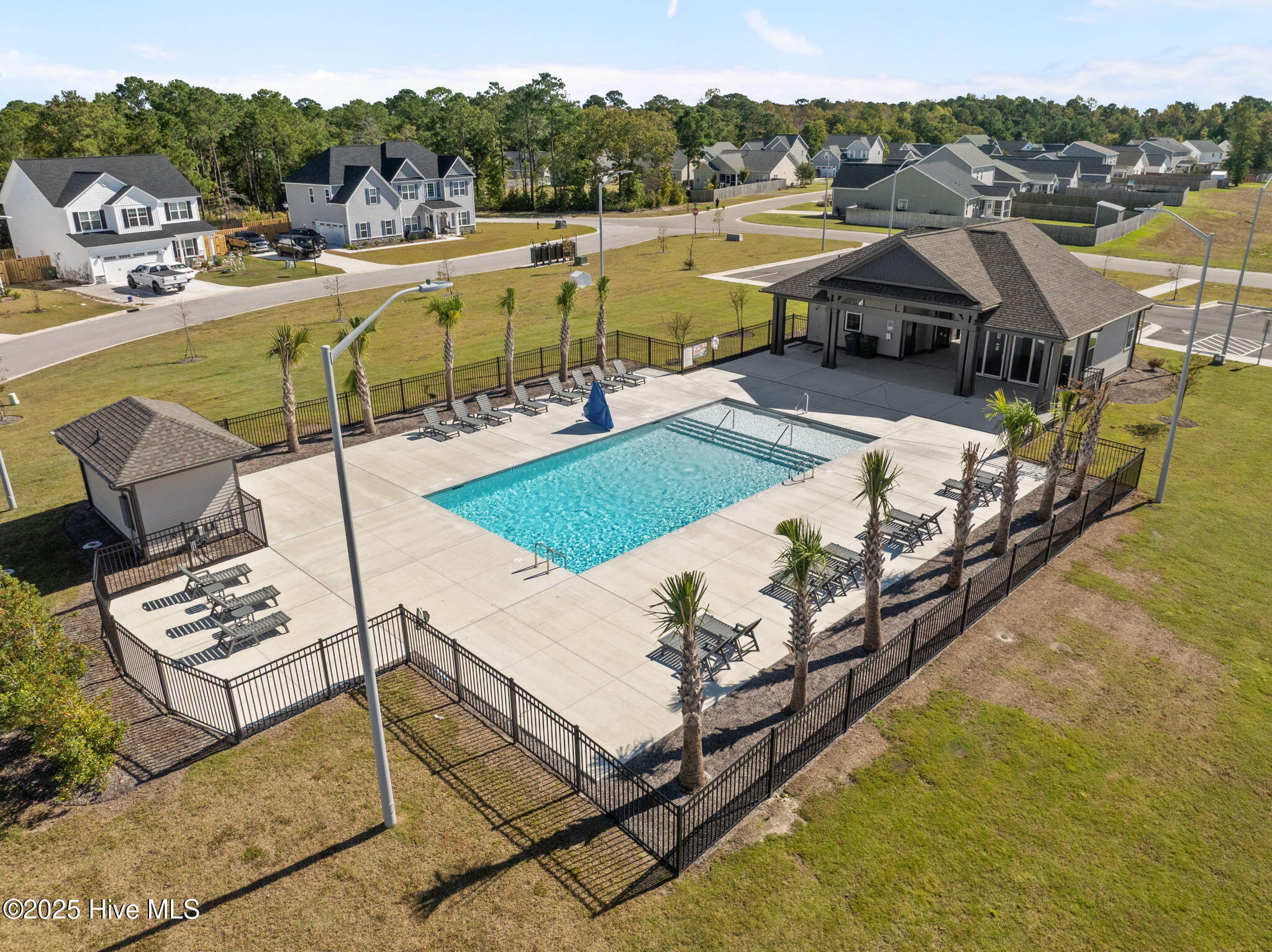 100536269 | Photo 50