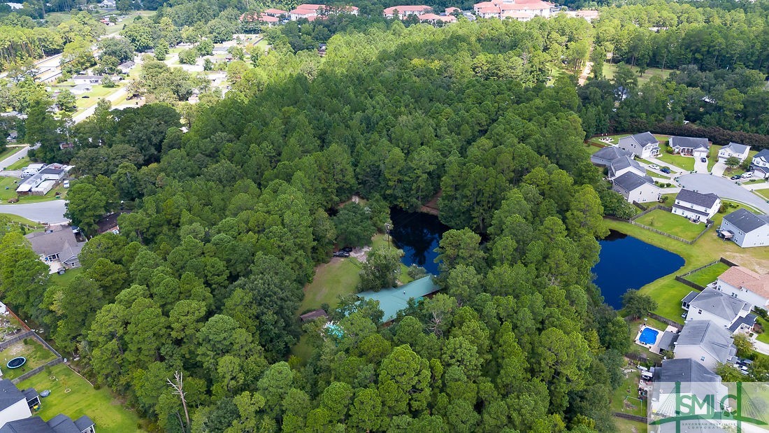 1335 Pine Barren Road, Pooler, GA 31322 Listing Photo  13
