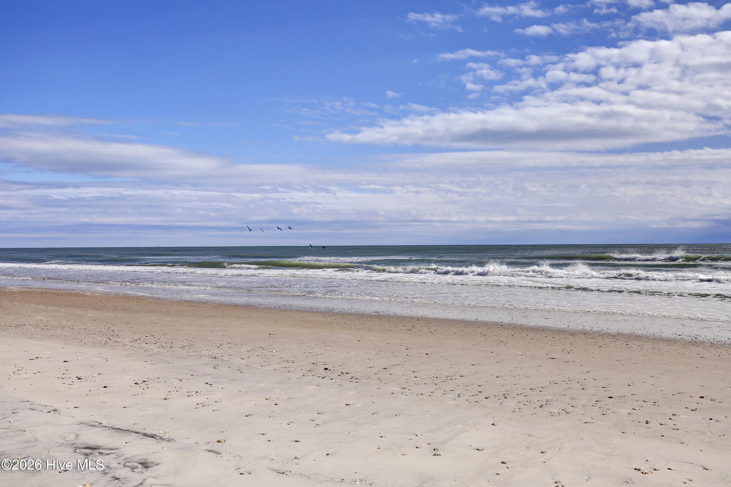 100551936 | Photo 13