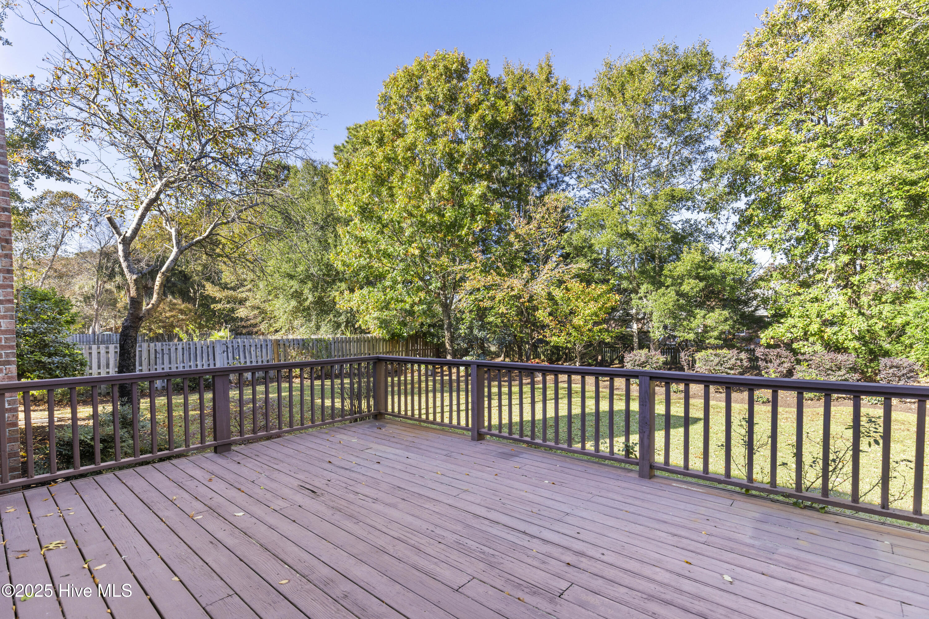 100539771 | Photo 45