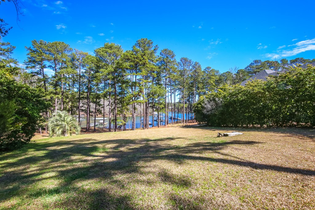 Undisclosed Address, Appling, GA, 30802