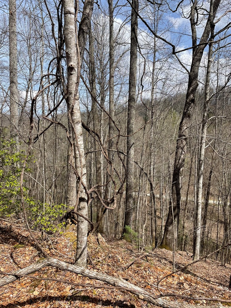 Exterior photo of 00 Hidden Lakes, Topton, NC 28781. MLS: 98543993