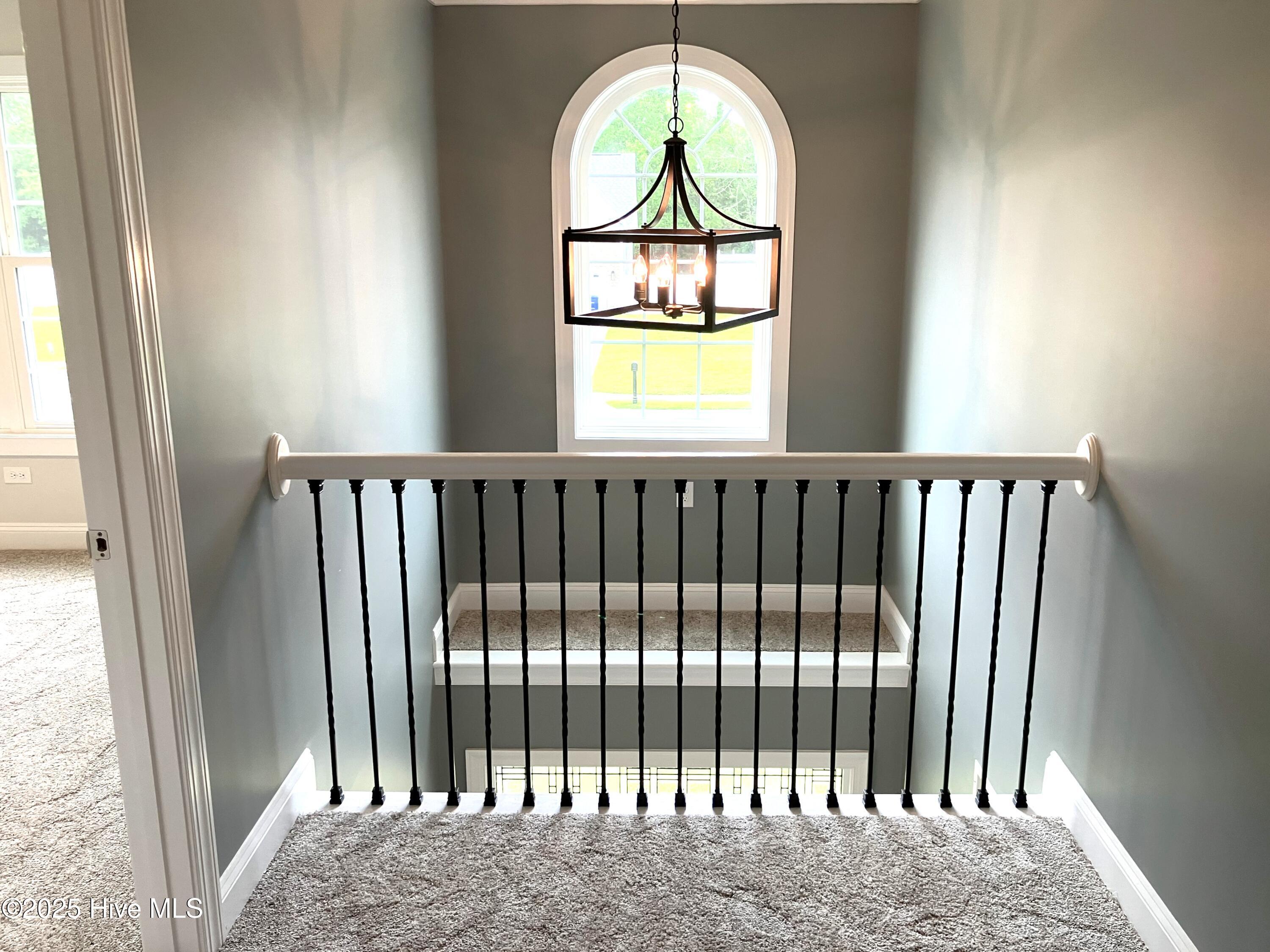 100514159 | Photo 27