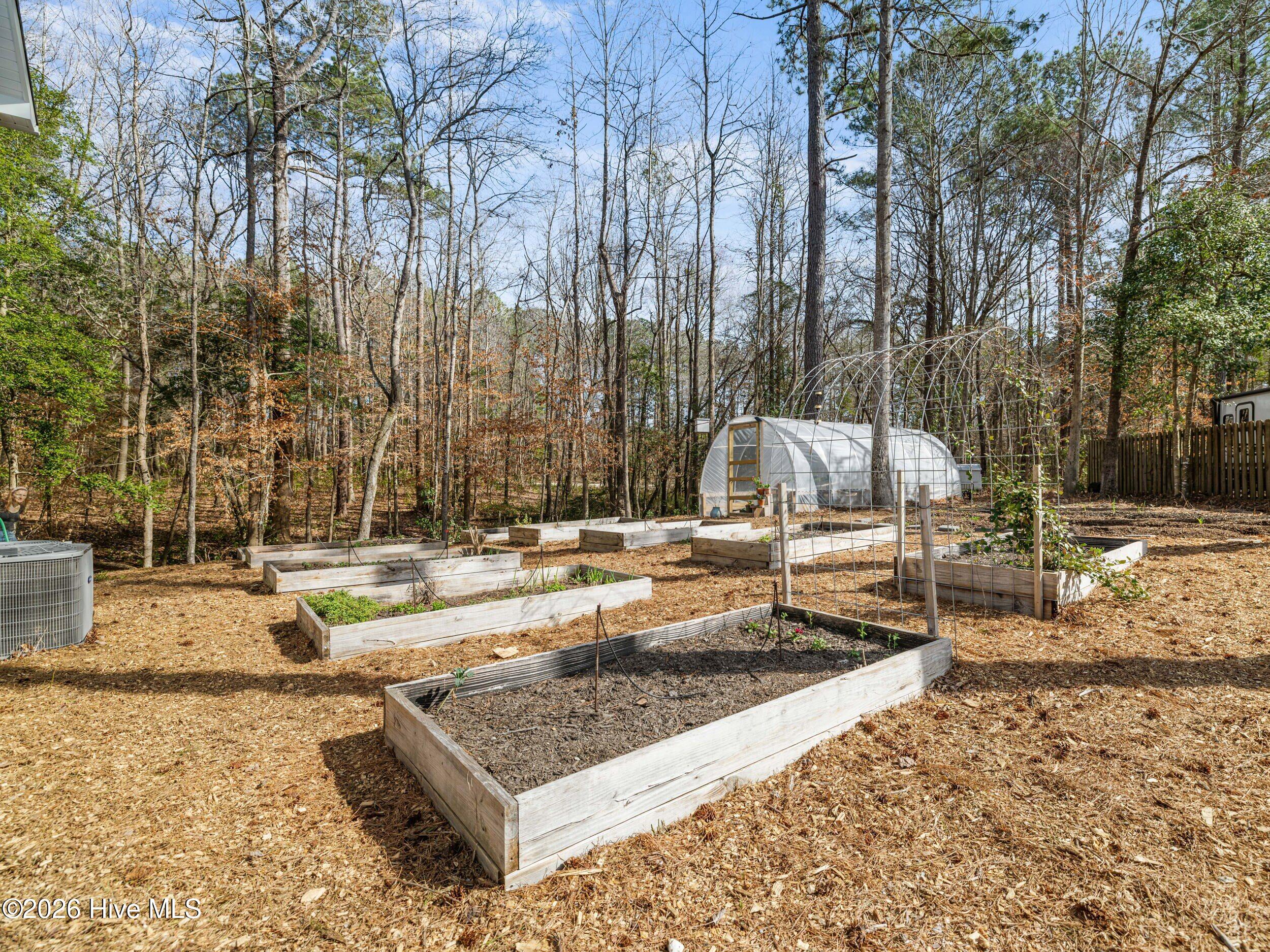 100558735 | Photo 60