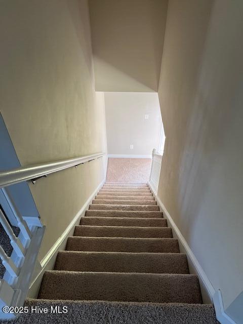 100537442 | Photo 29