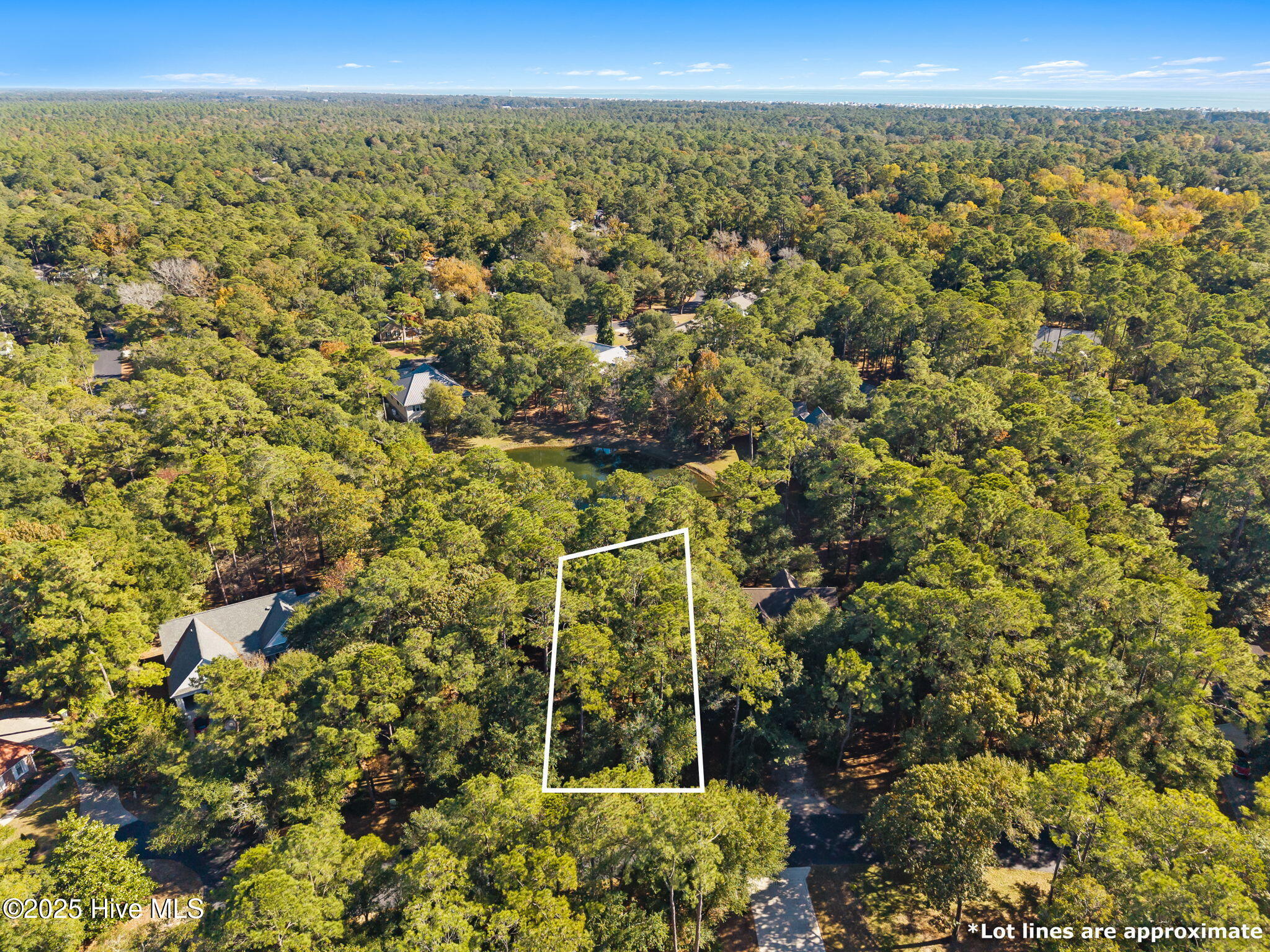 100540561 | Photo 11