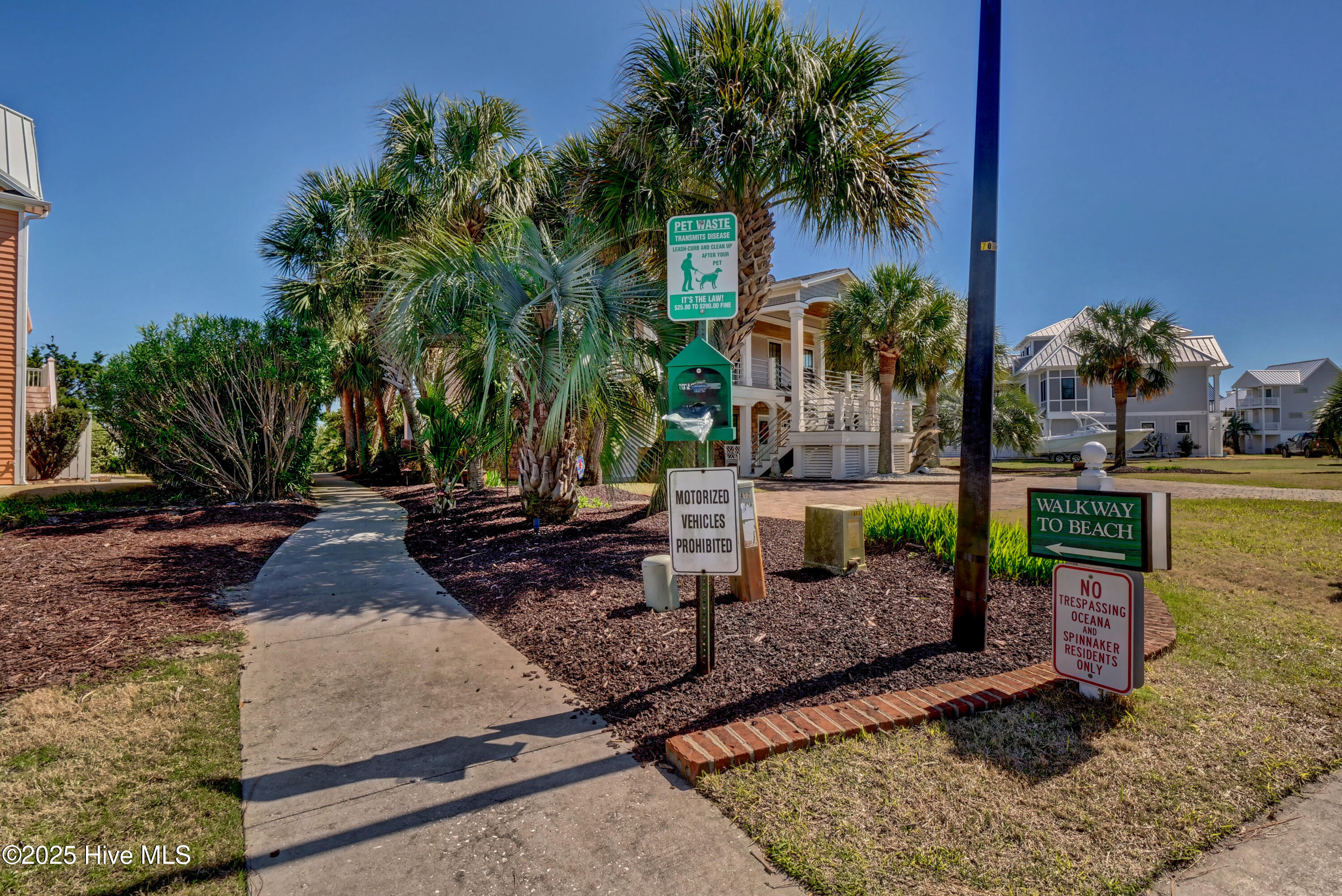 100516907 | Photo 46