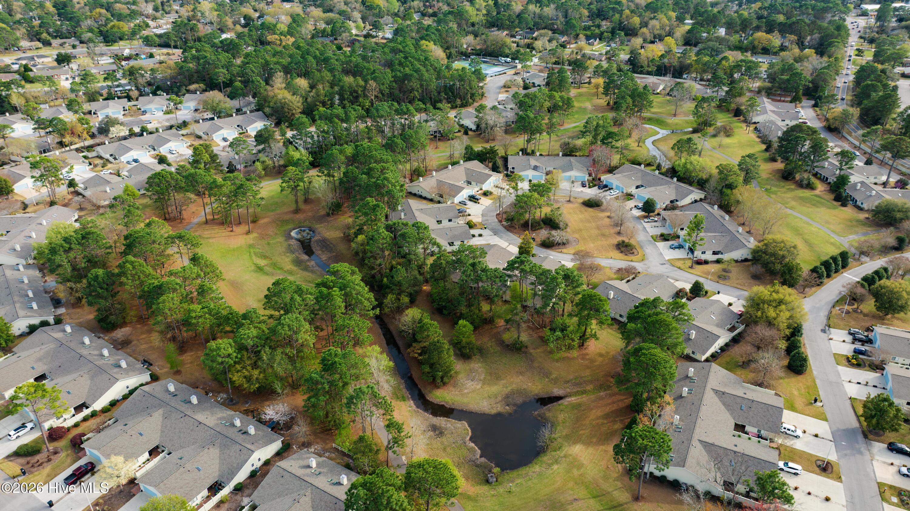 100560889 | Photo 41