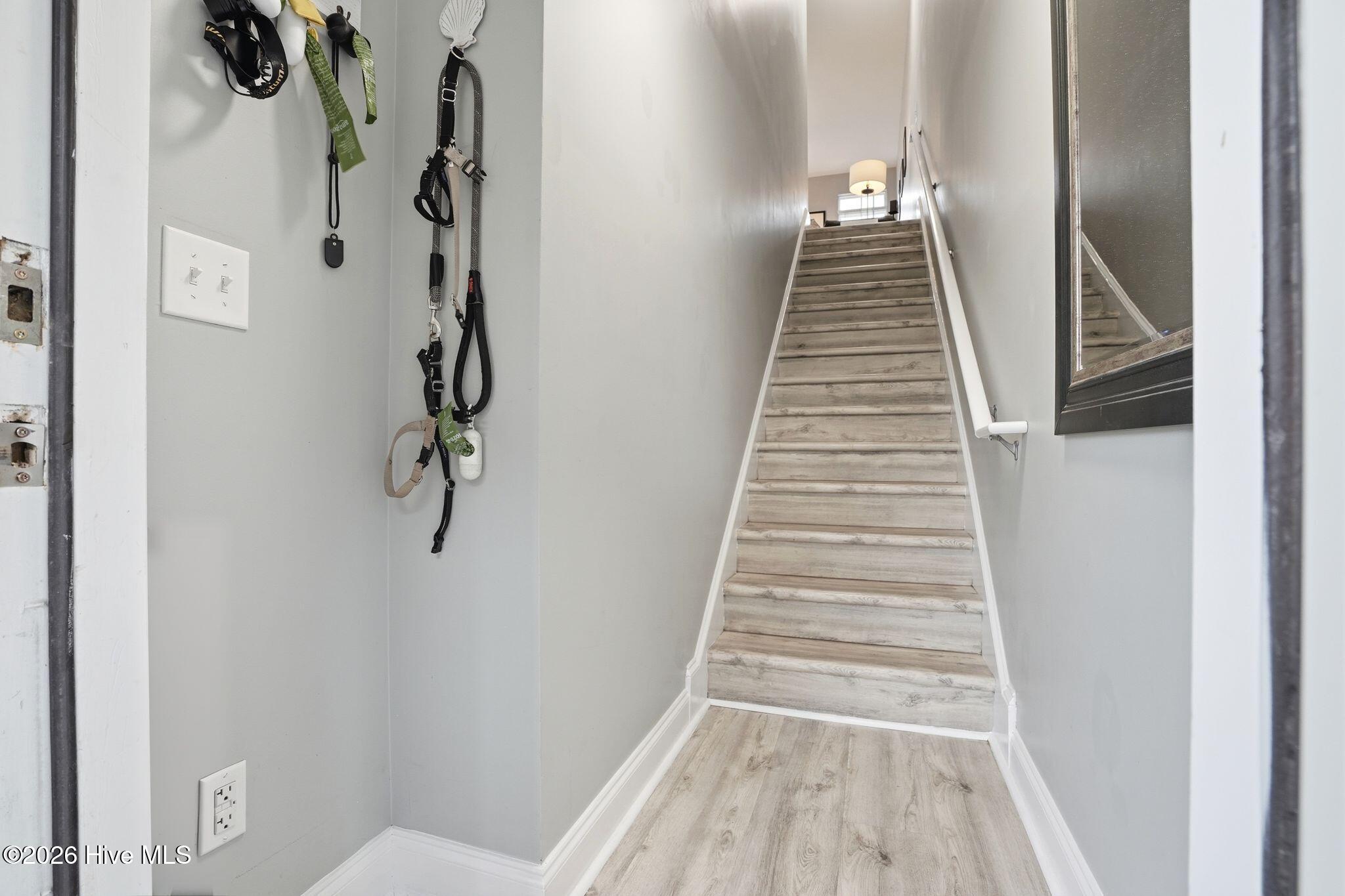 100558229 | Photo 10