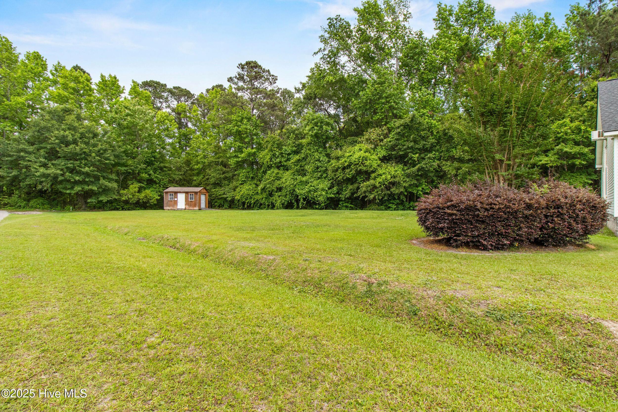 100552481 | Photo 42