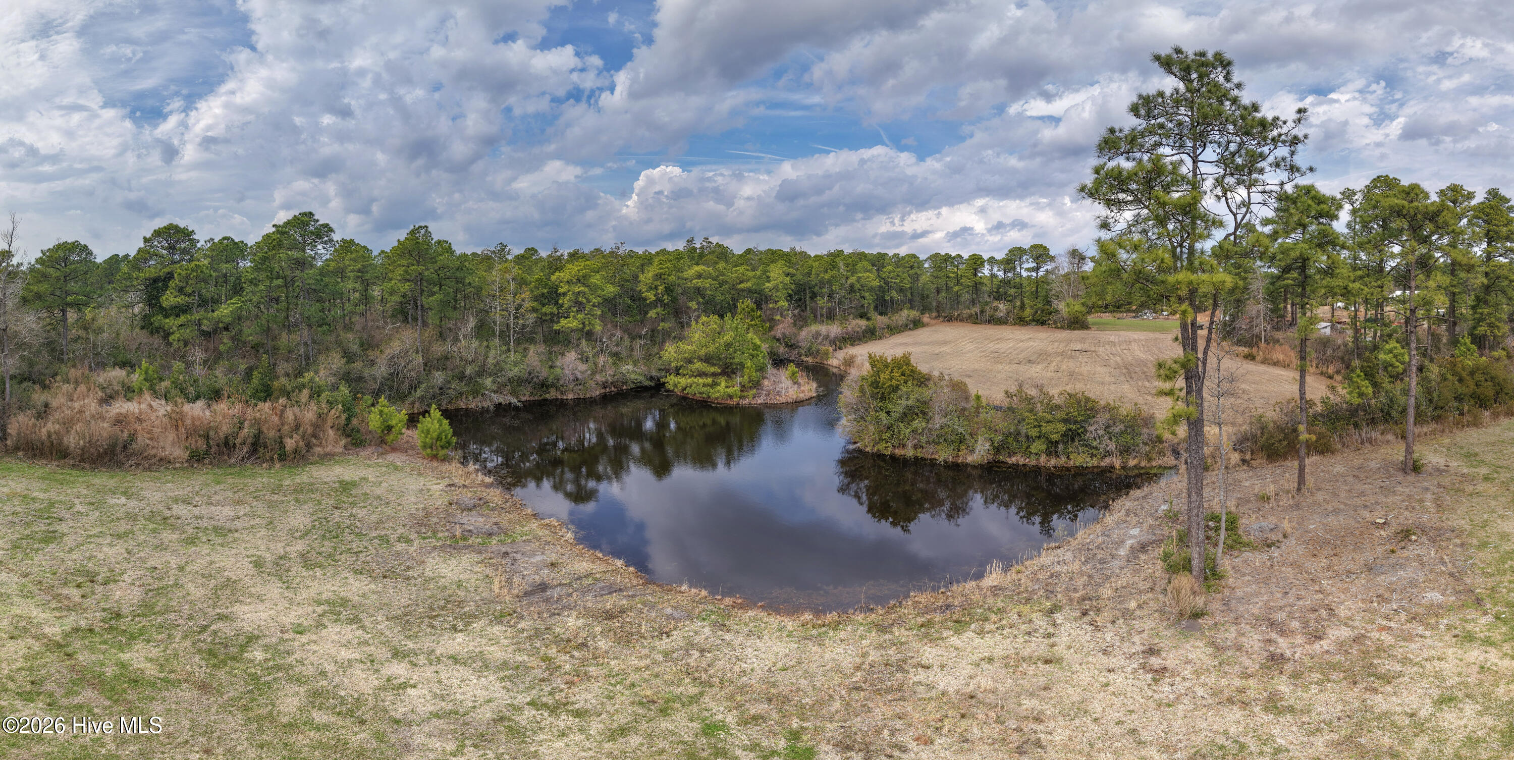 100554657 | Photo 27