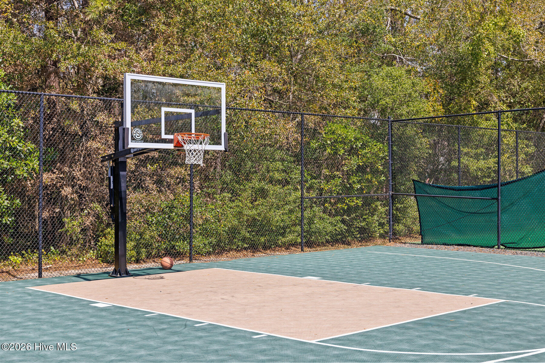 100554265 | Photo 45