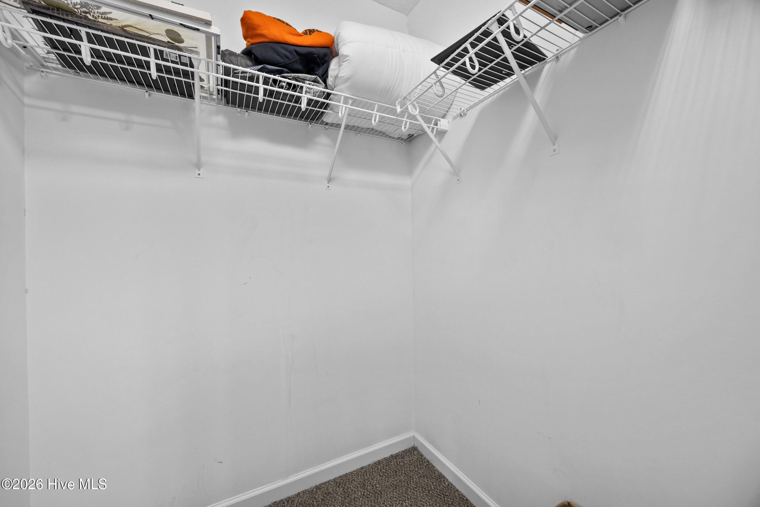 100554193 | Photo 20