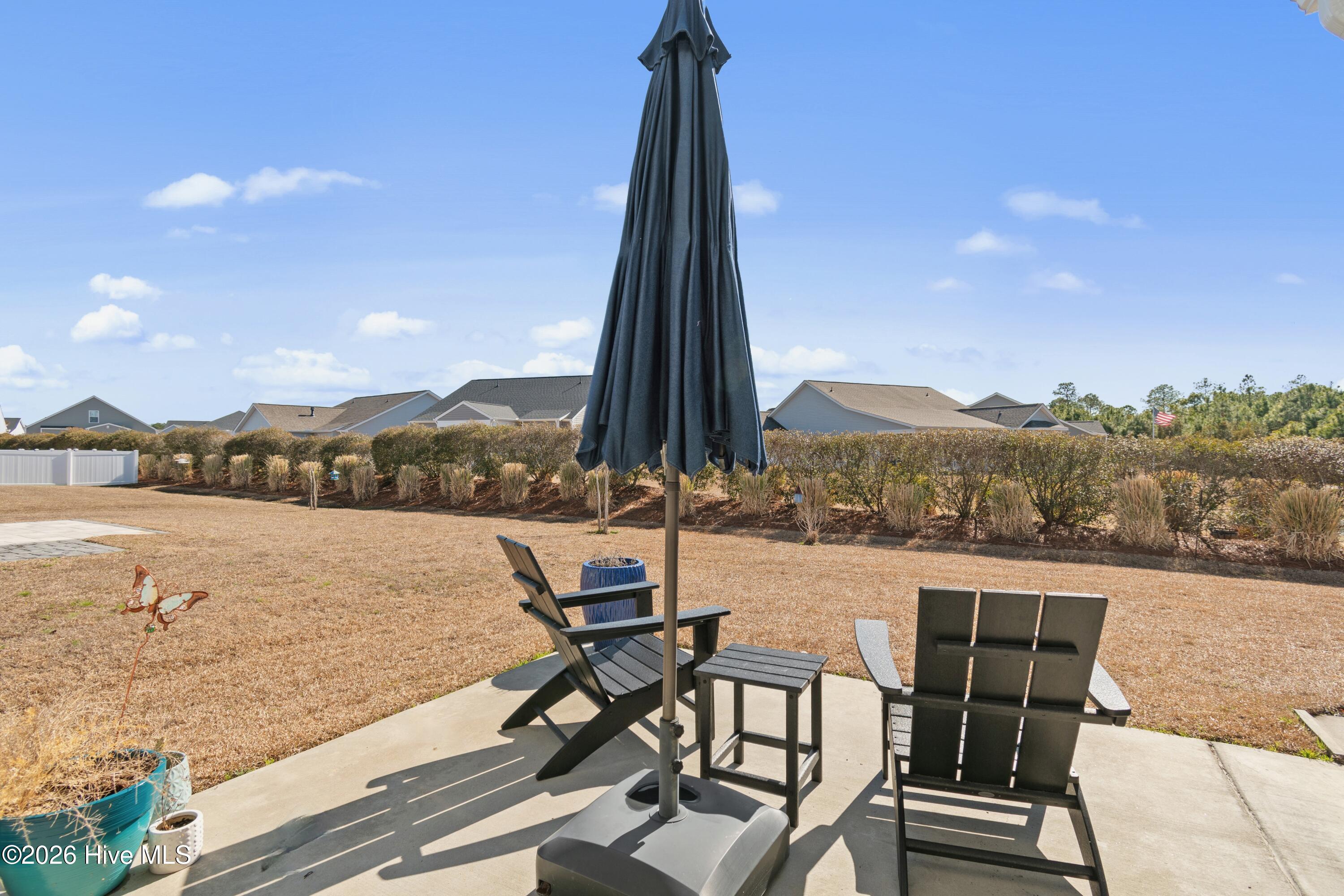 100555351 | Photo 31