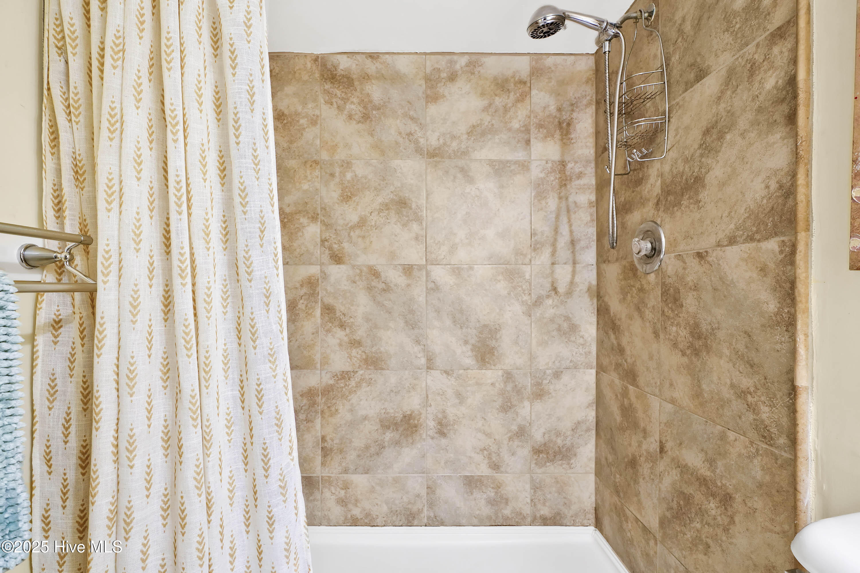 100491115 | Photo 16