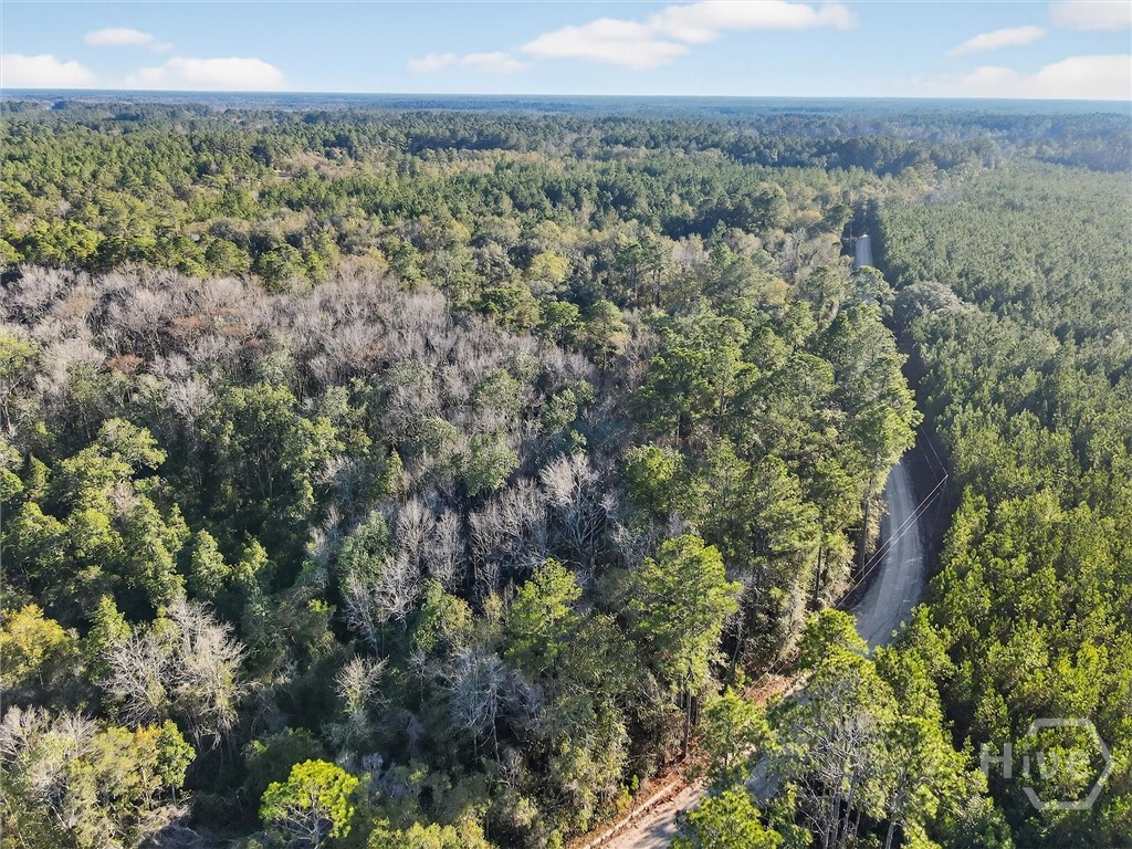 Homes for sale in Pembroke, GA | 0 Beautuiful Zion Cemetery Rd, Pembroke, GA 31321 | MLS# SA347165