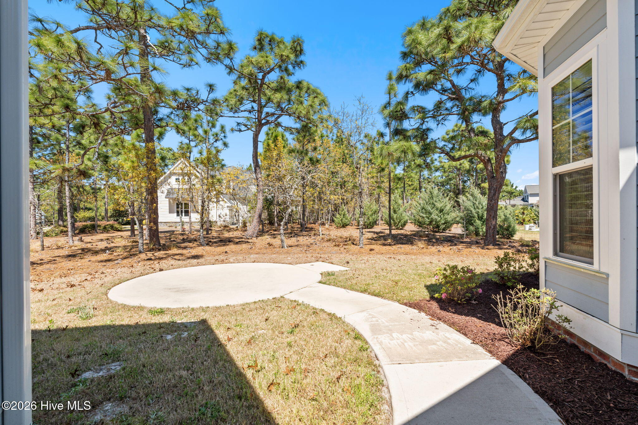 100564943 | Photo 49