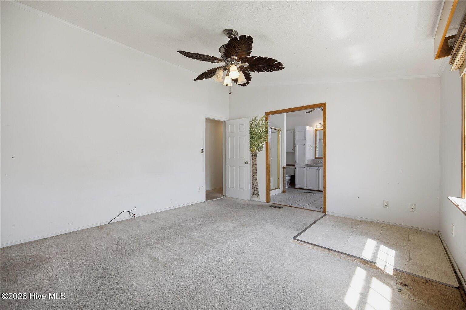 100569613 | Photo 17