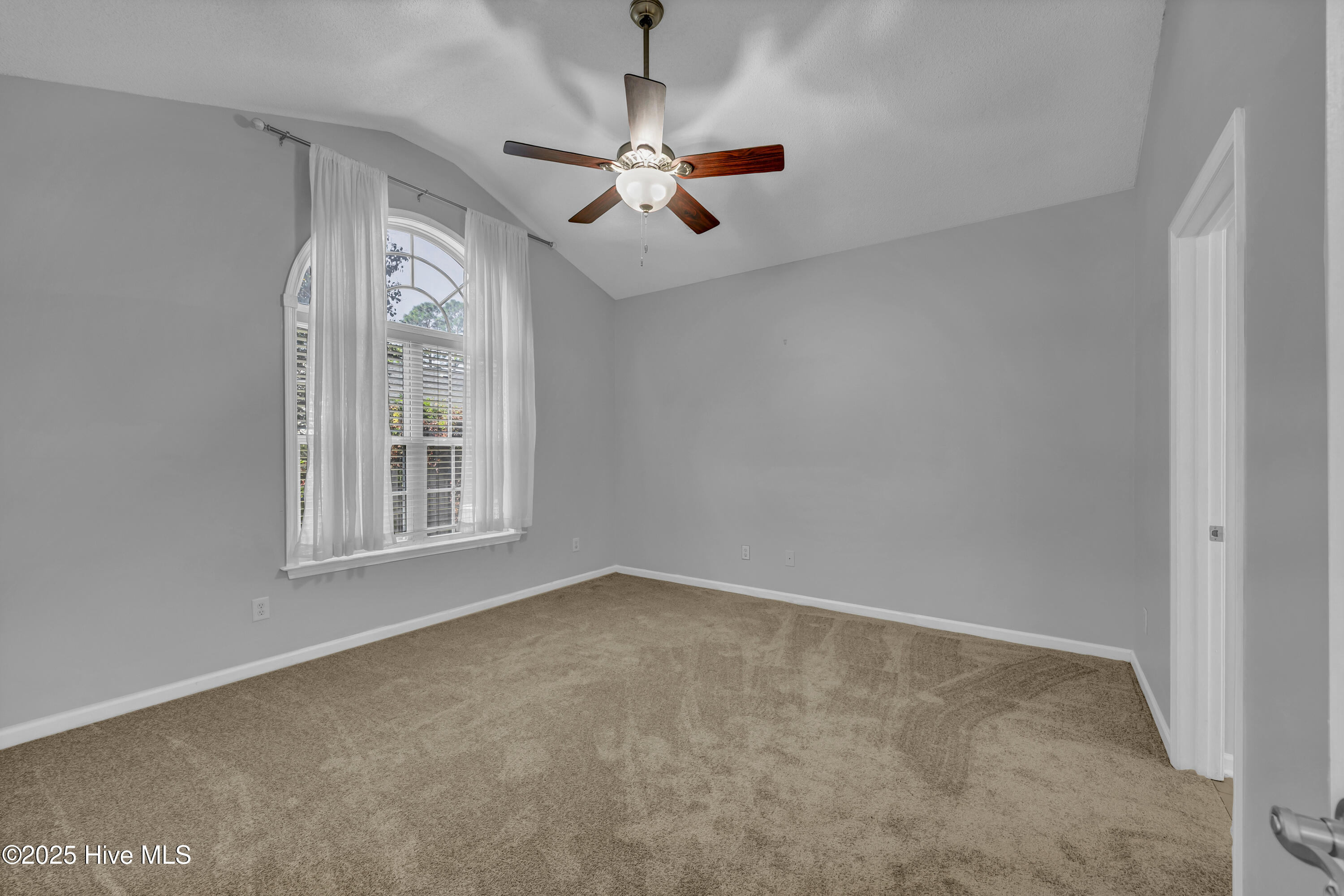 100540259 | Photo 18