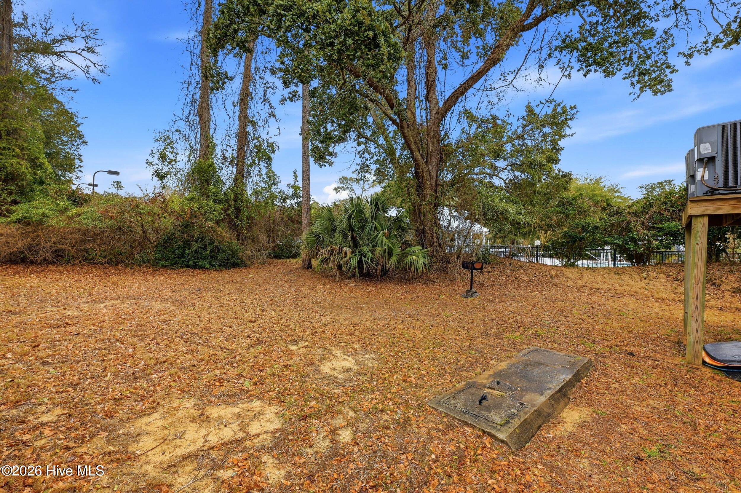 100557500 | Photo 48