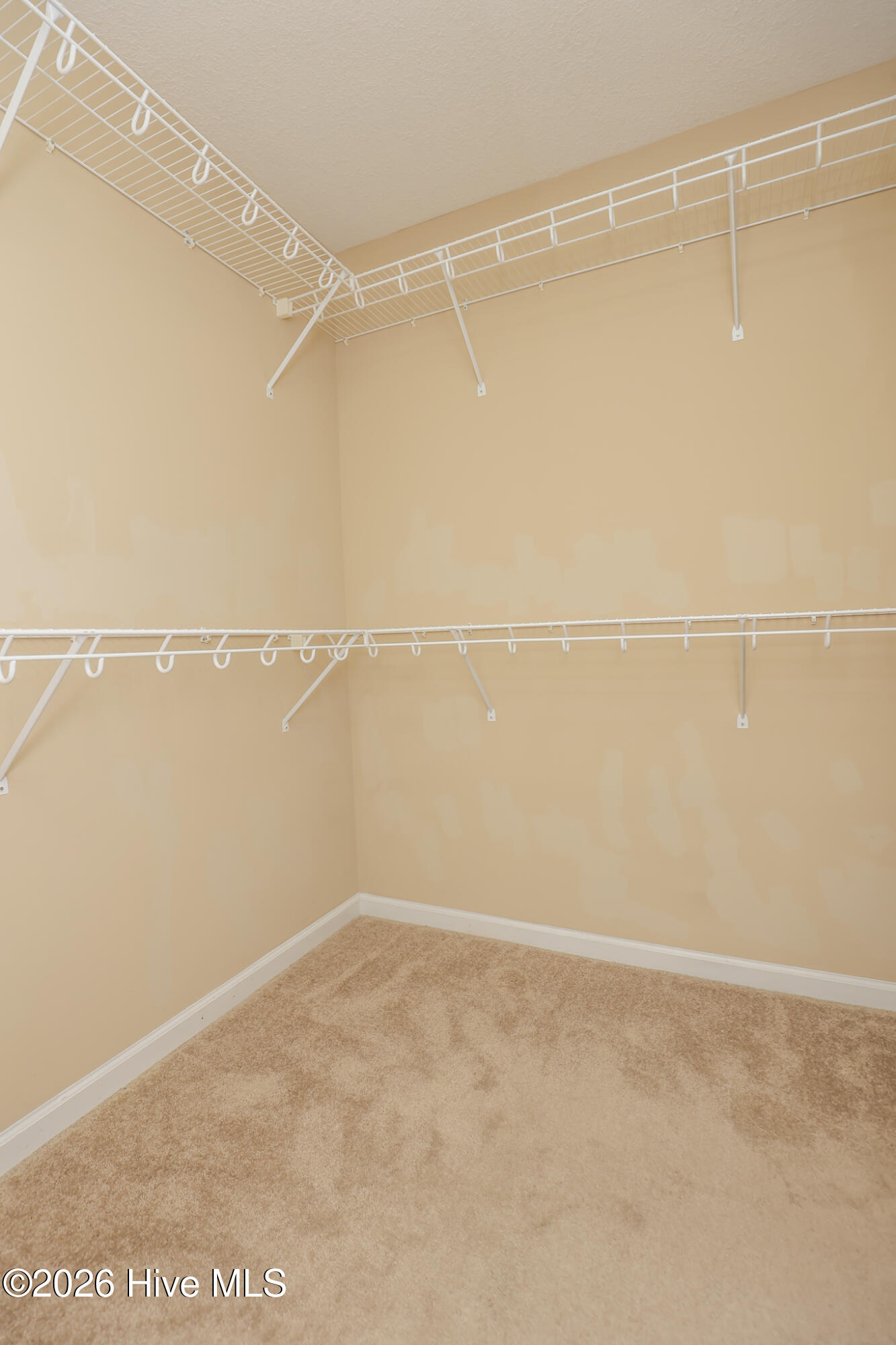 100562505 | Photo 28