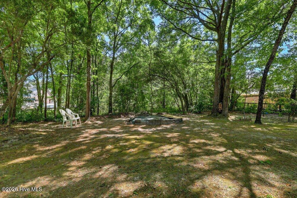 100569343 | Photo 45