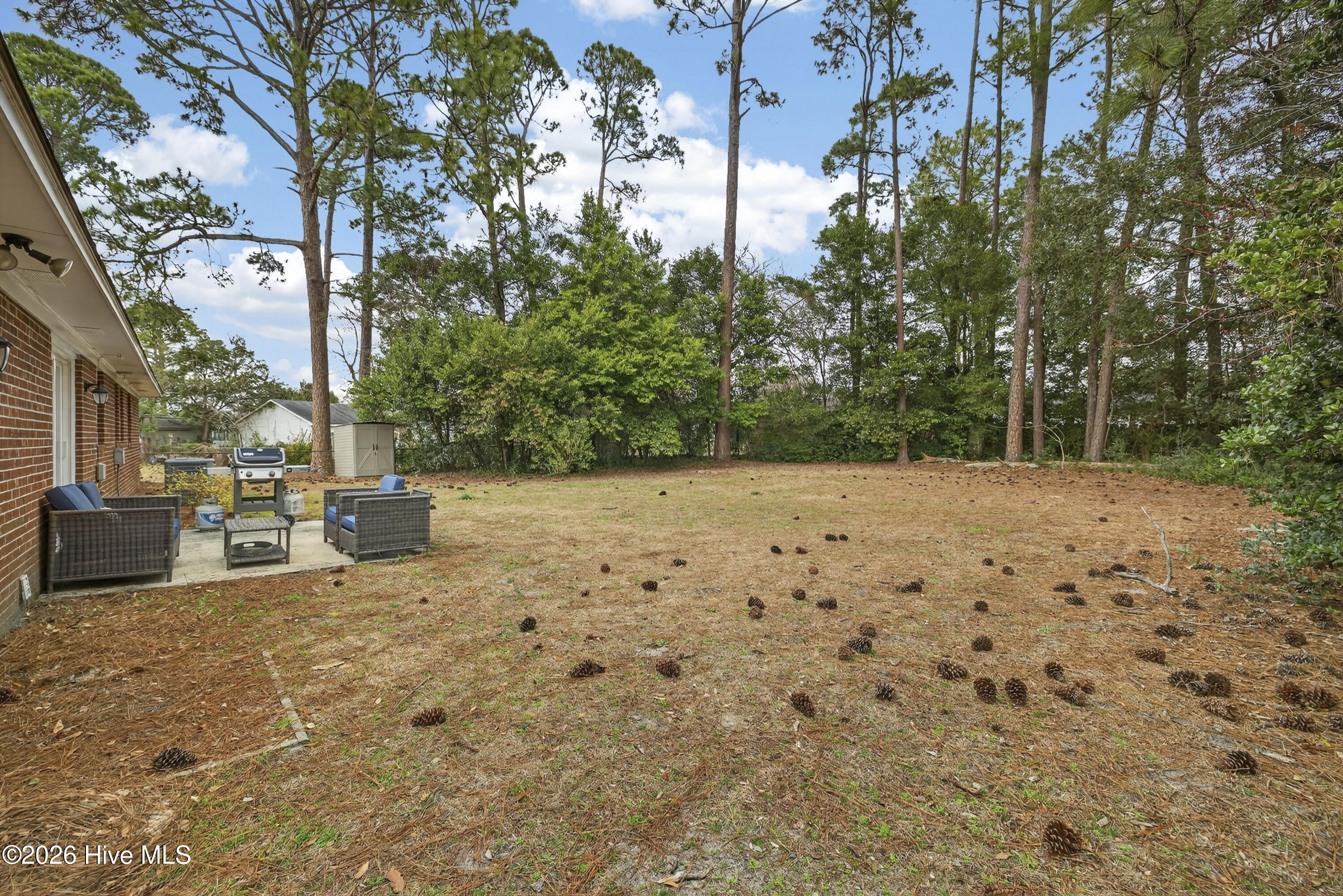 100555810 | Photo 27