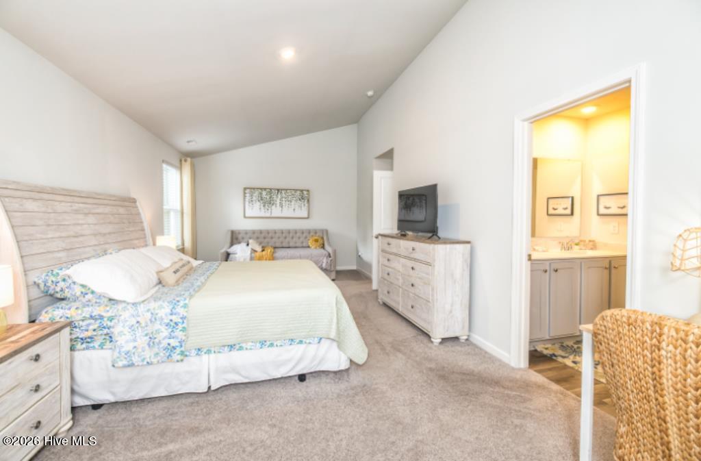 100559944 | Photo 15