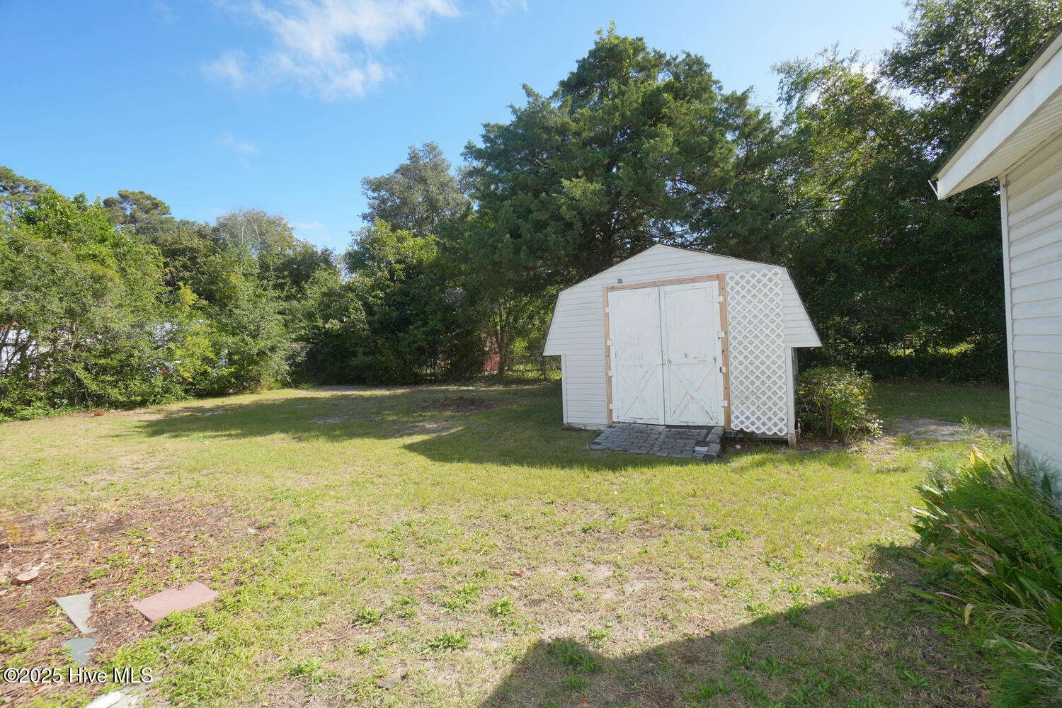 100534449 | Photo 39