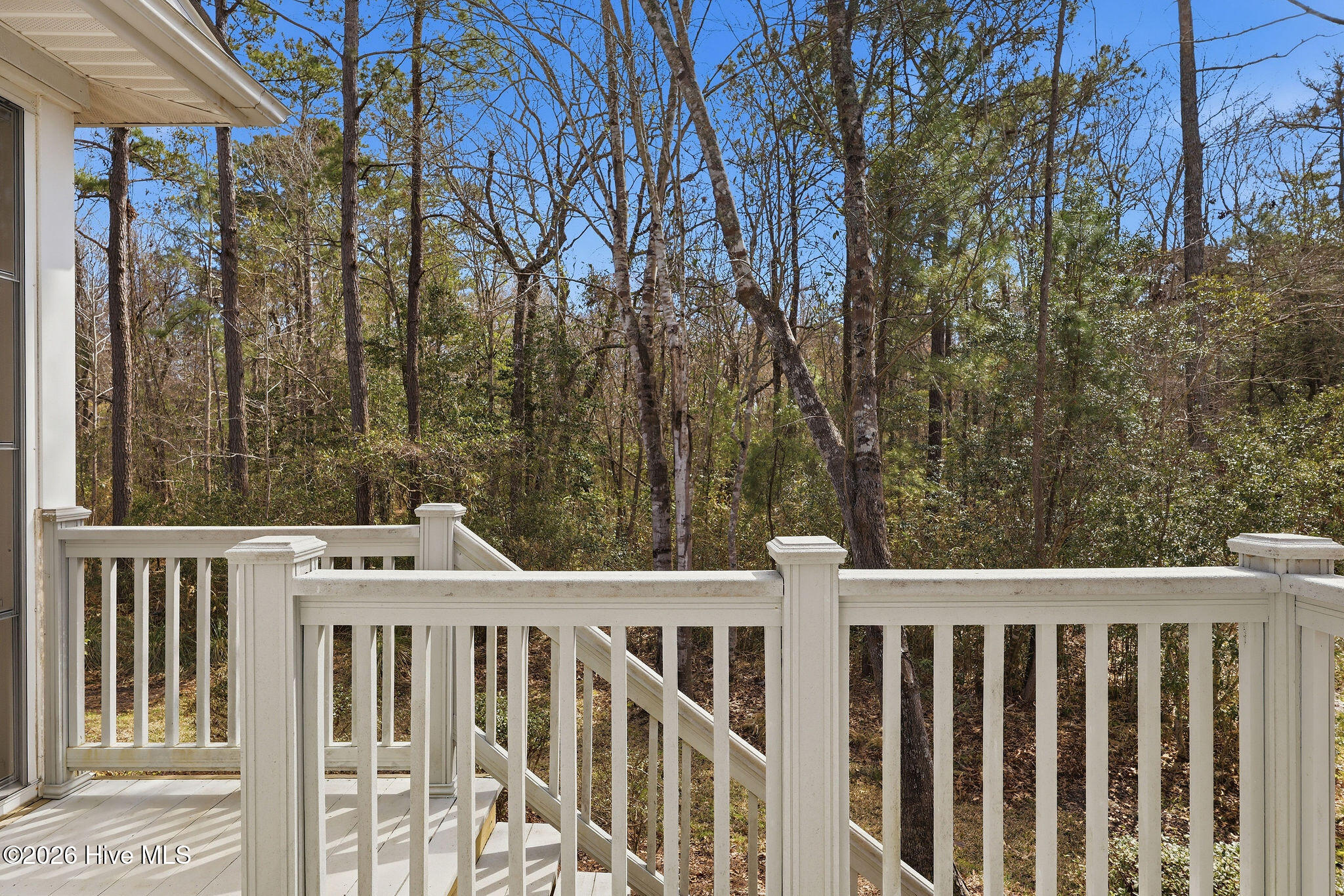 100560858 | Photo 24