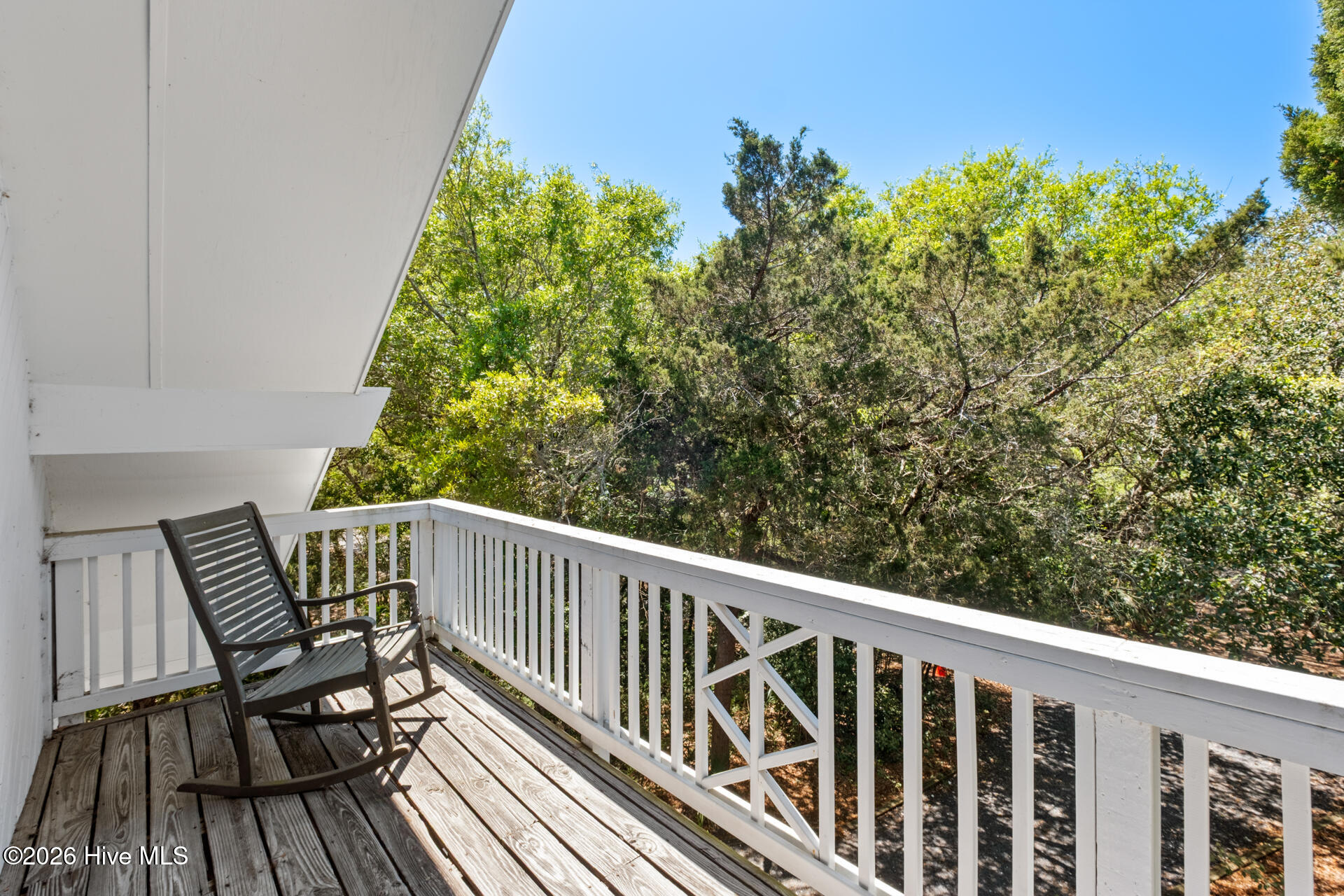 100569244 | Photo 29