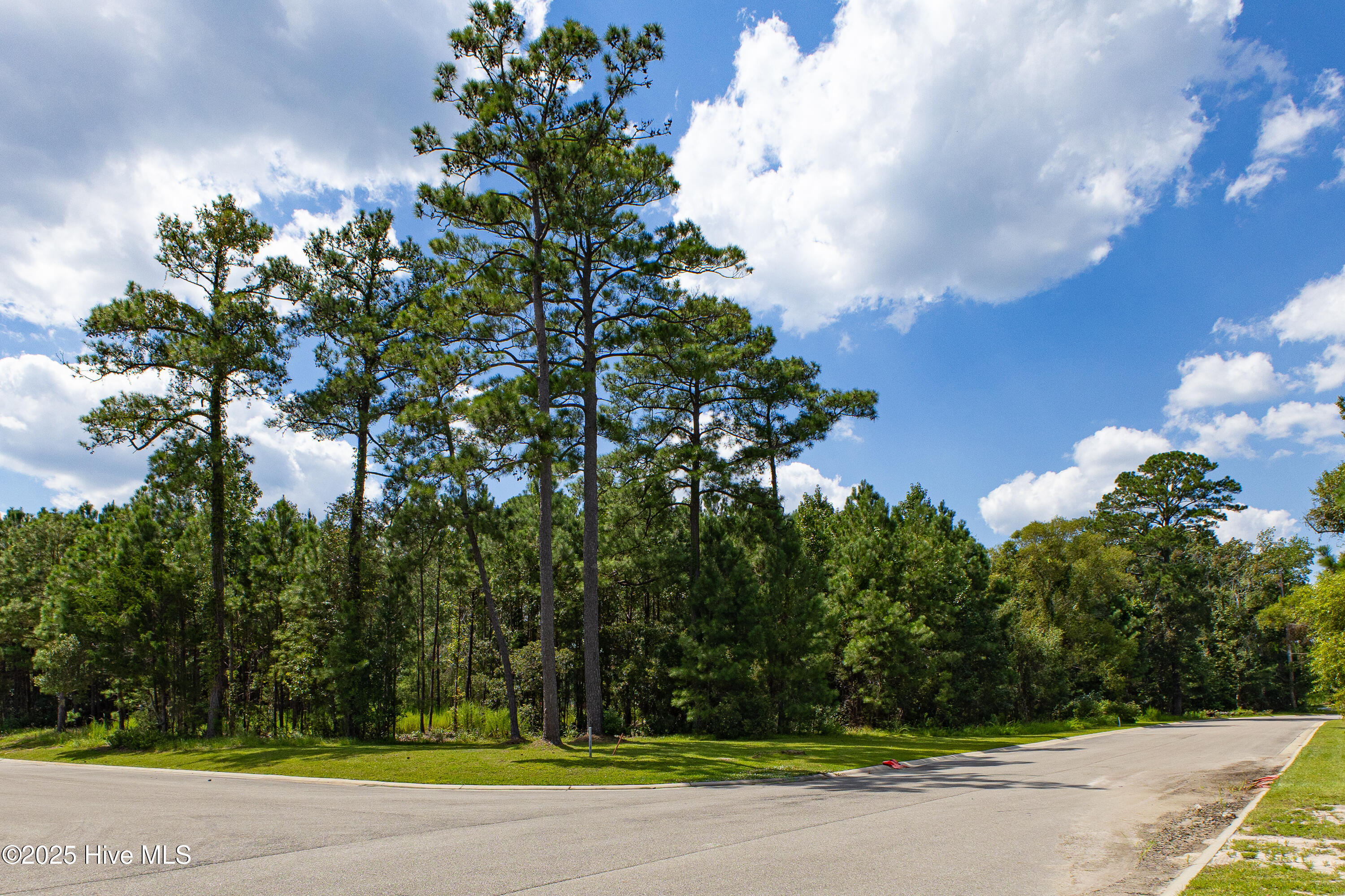 100524221 | Photo 15