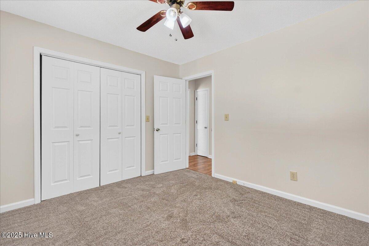 100531435 | Photo 21