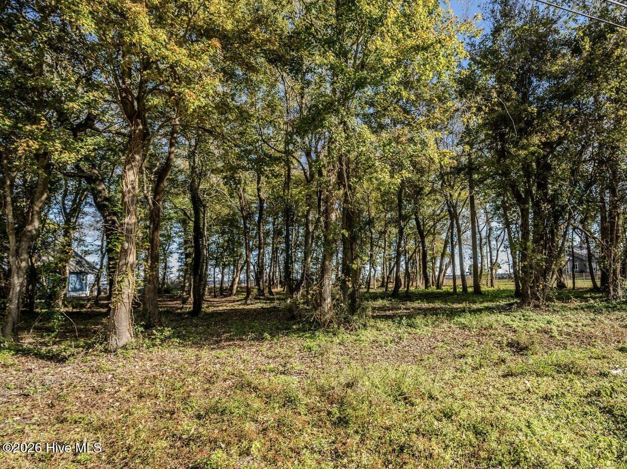 100560366 | Photo 16