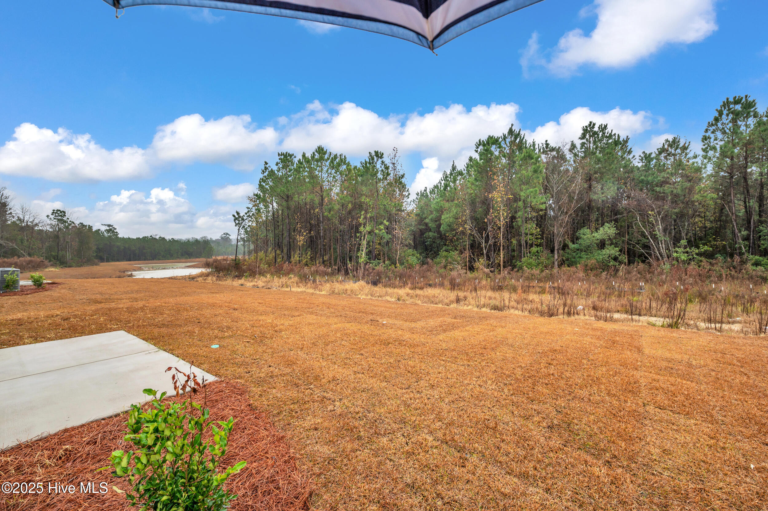 100544665 | Photo 31