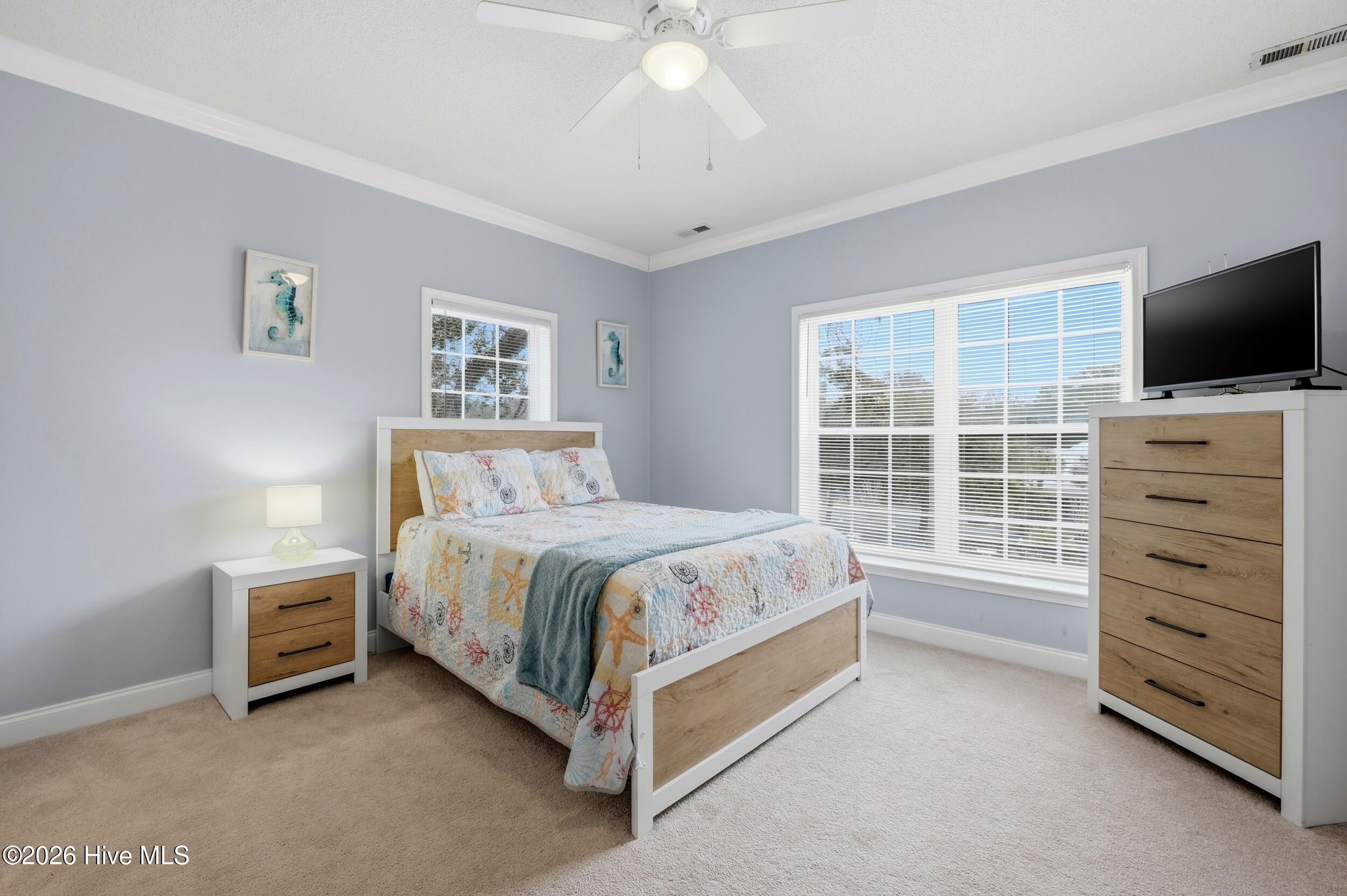 100557500 | Photo 21