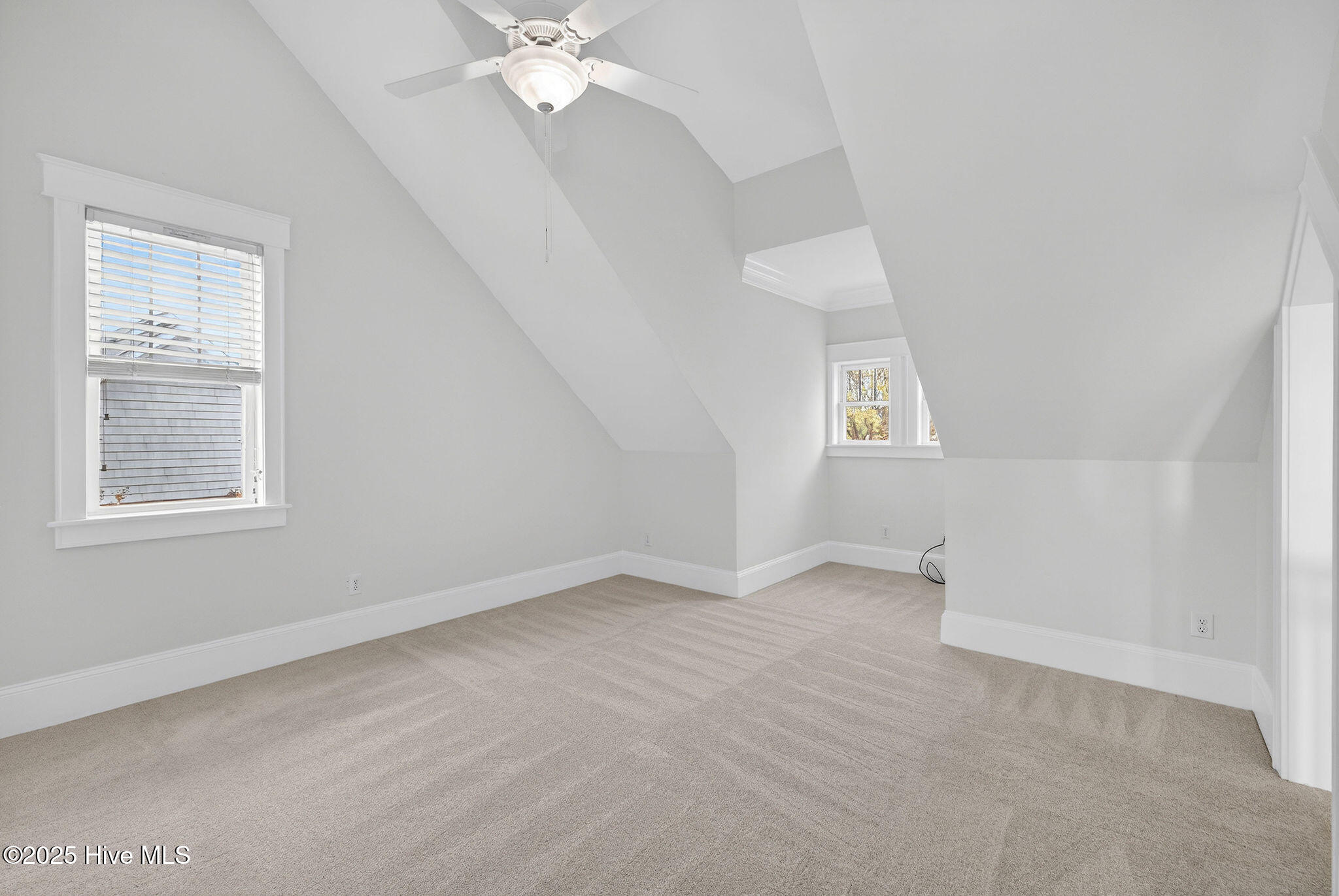 100545451 | Photo 37