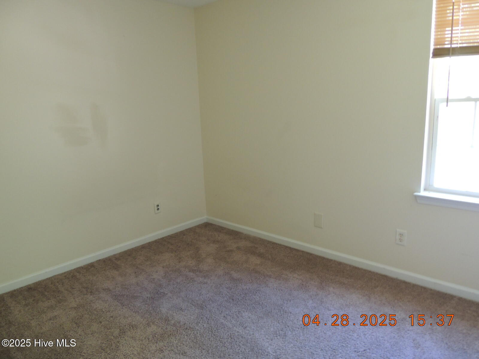 100565687 | Photo 17